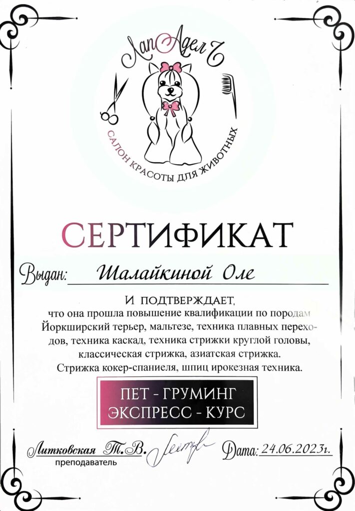 Сертификат груминг Ольги