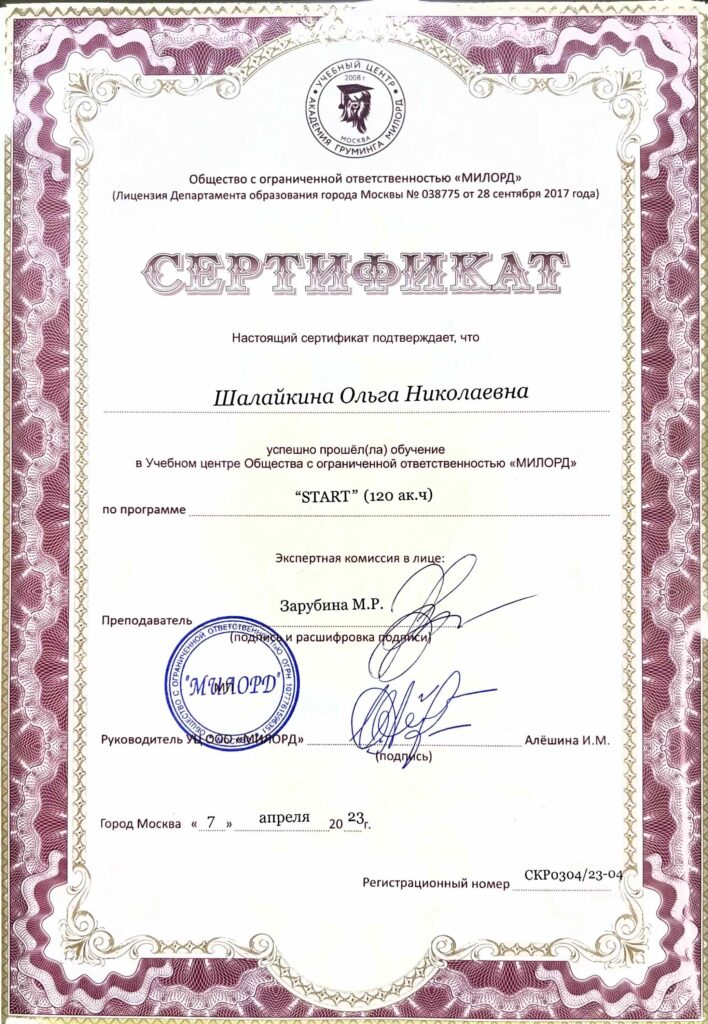 Сертификат груминг Ольга