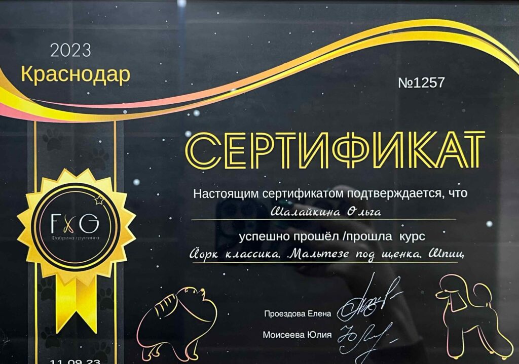Сертификат груминг Ольга